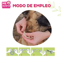 PACK 1 COLEIRA + 2 PIPETAS PARA CÃES