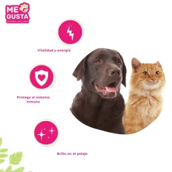 ÓLEO DE SALMÃO PARA CÃES E GATOS, 100ml