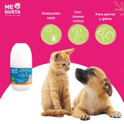 Roll-on anti-insectos con protector solar 50+